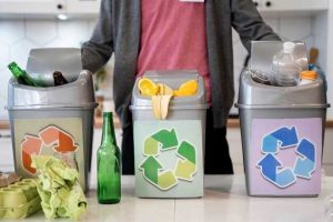 Addressing Food Waste – Solutions for Reducing Losses and Increasing Efficiency