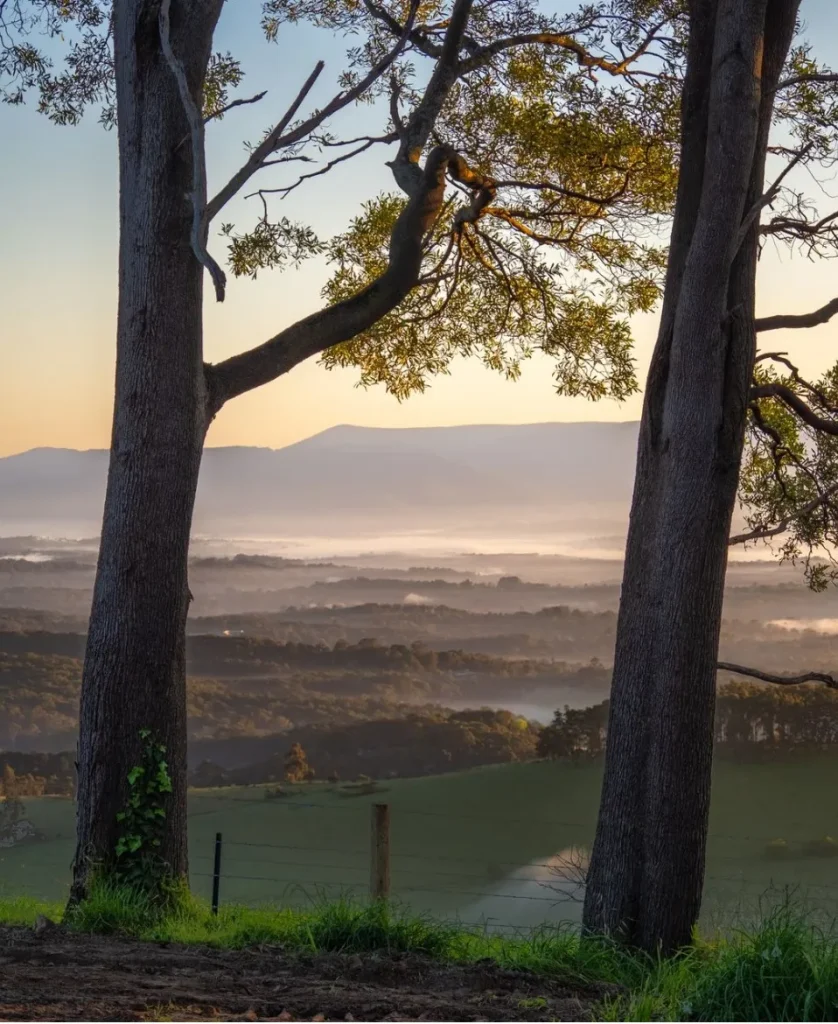 Dandenong Ranges