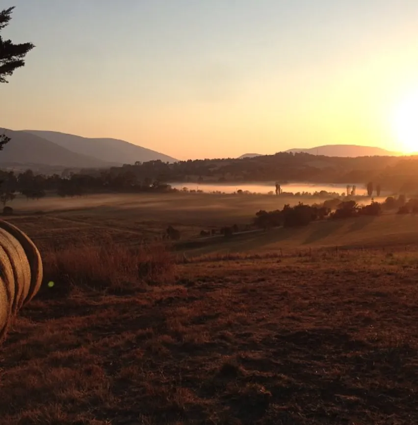 Wildlife Yarra Valley