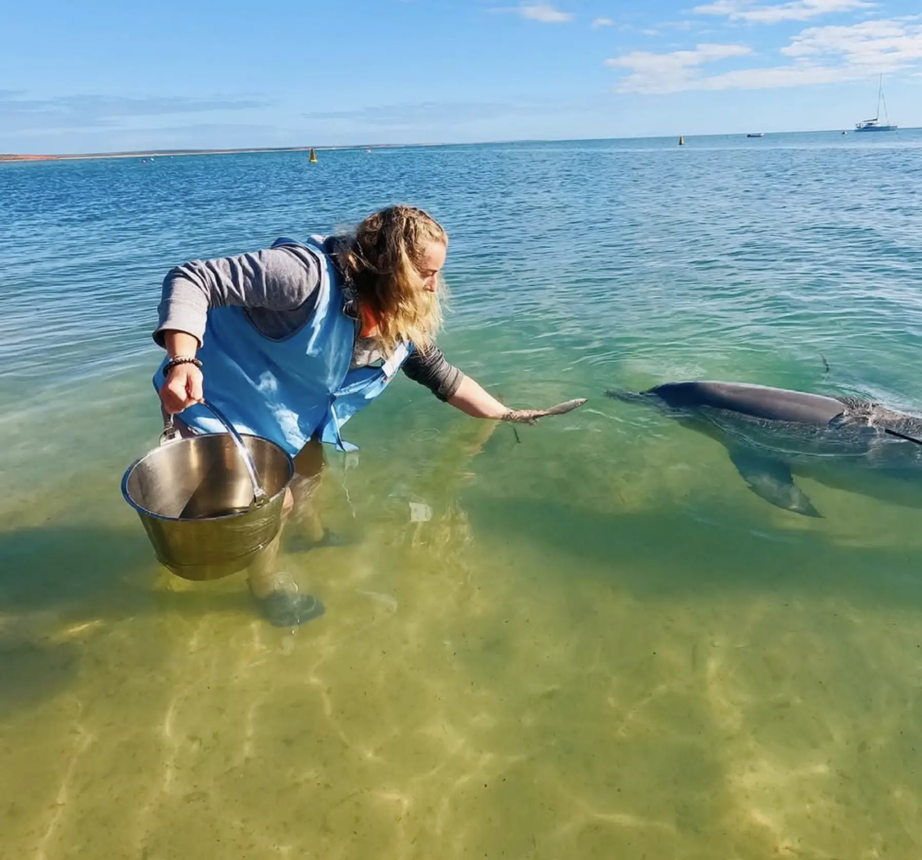 Feeding Dolphins at Monkey Mia