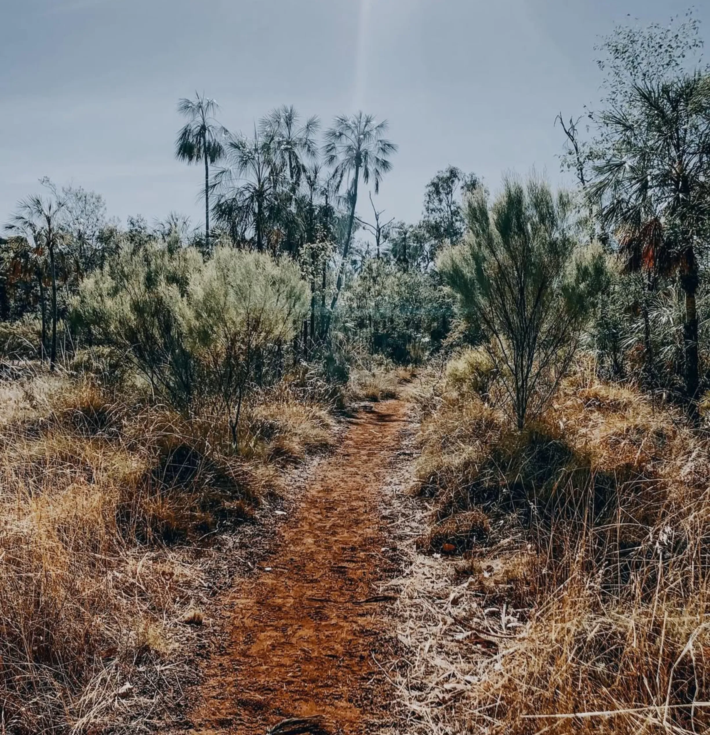 walking trails