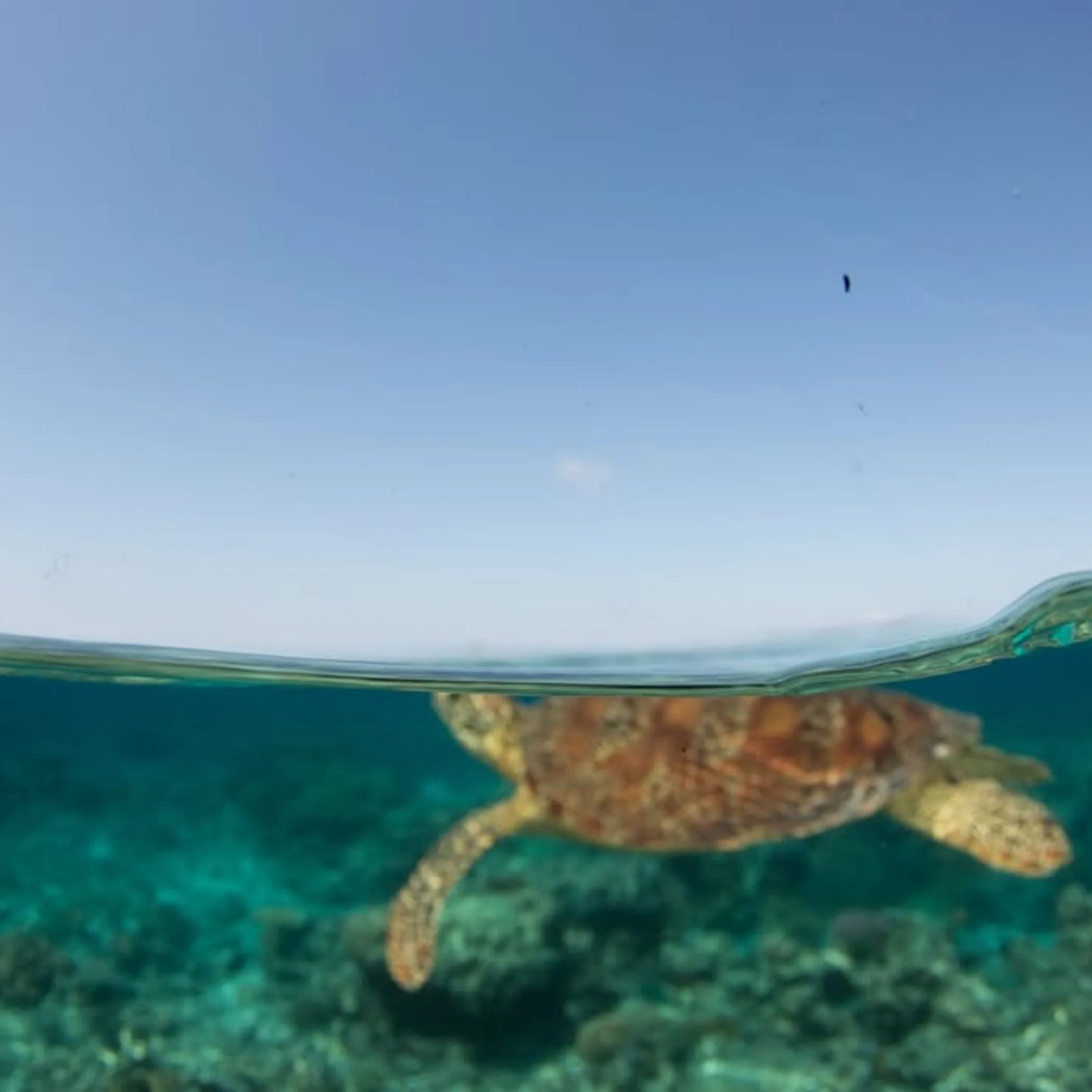 australian coral reef marine park map