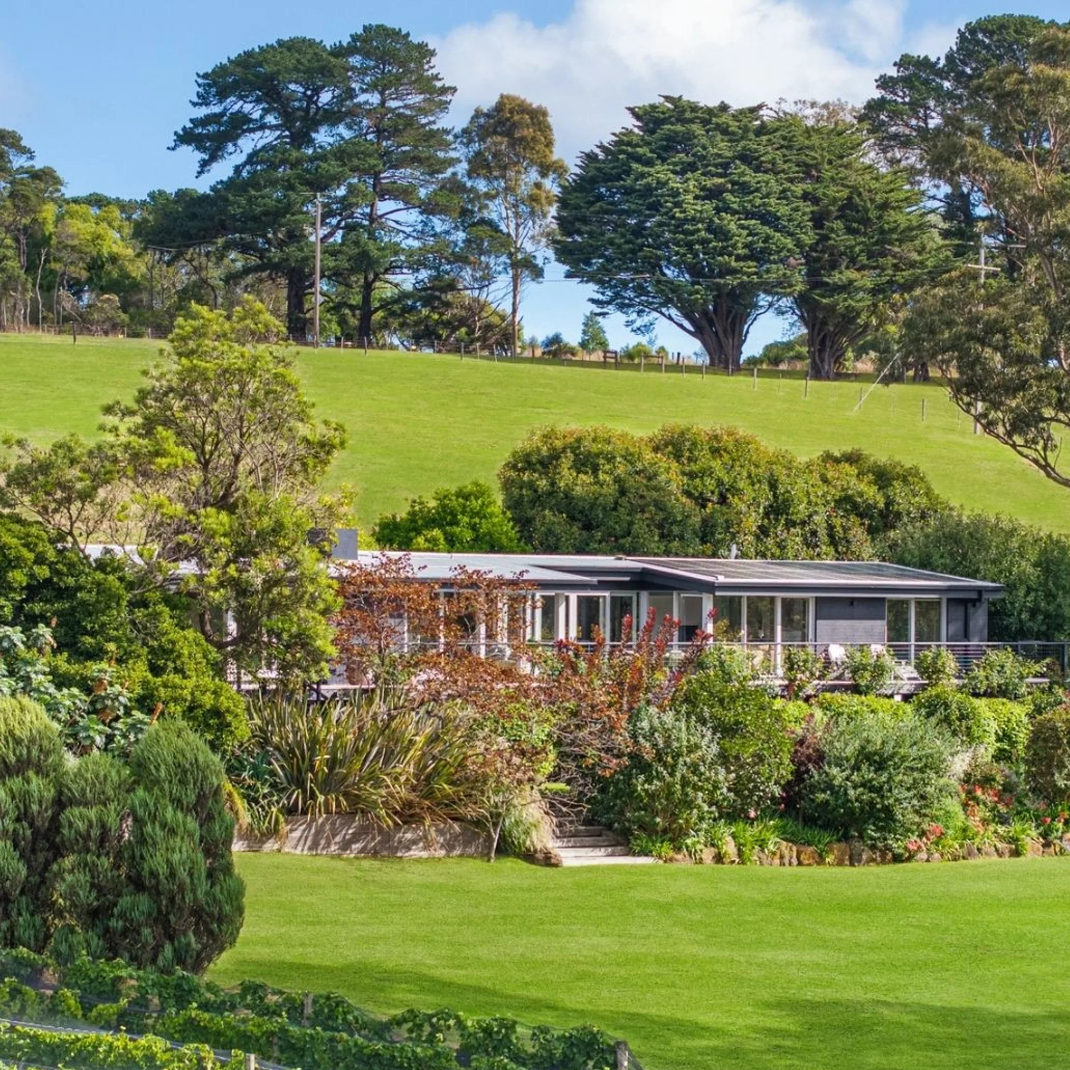 peaceful winter nature retreat victoria australia