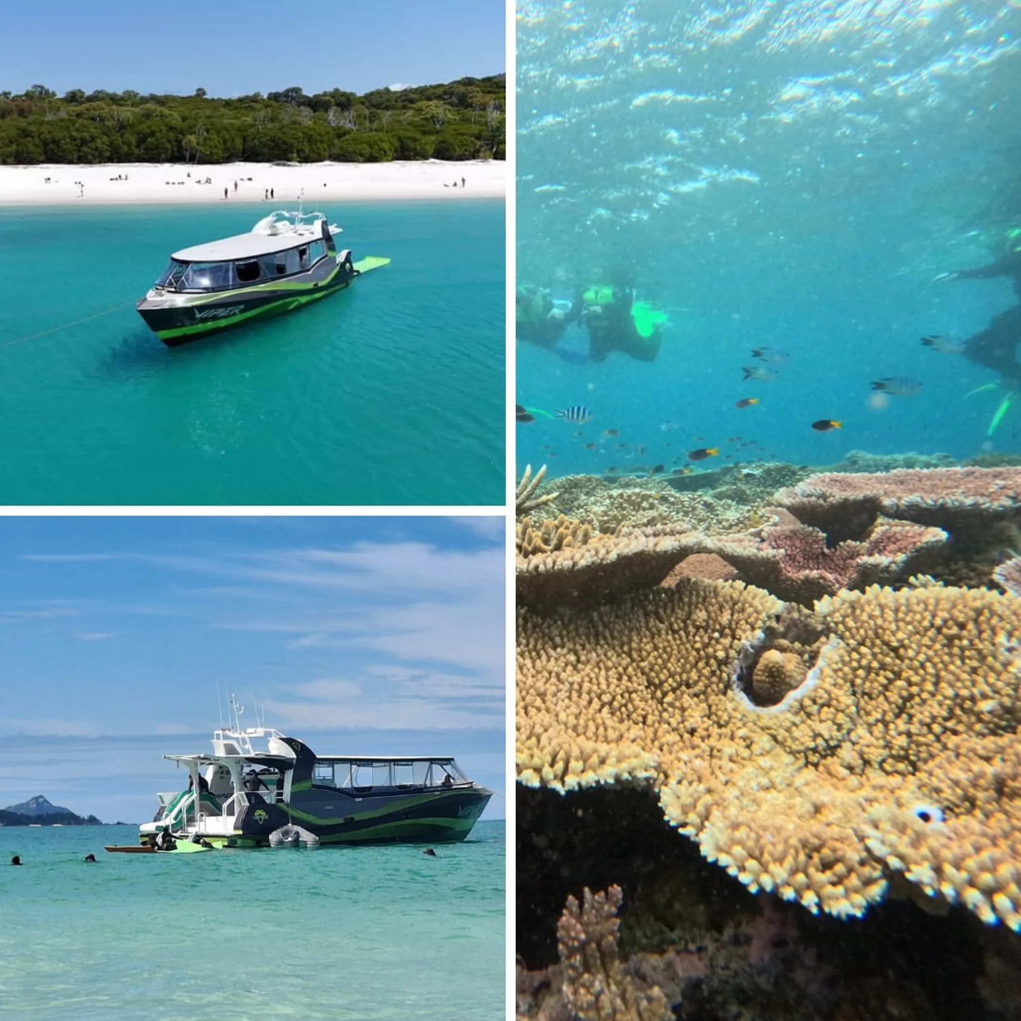 group of snorkelers boarding boat reef trip