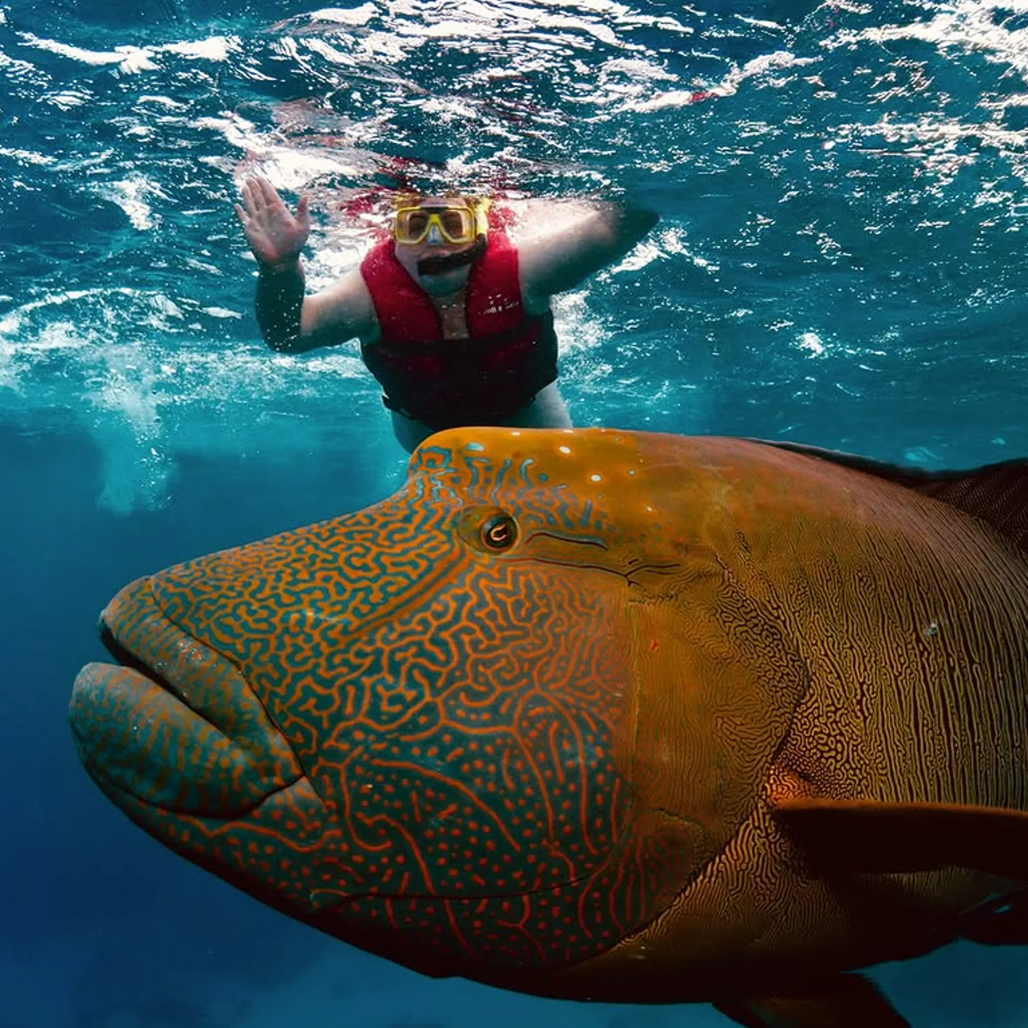 packing reef snorkeling gear essentials