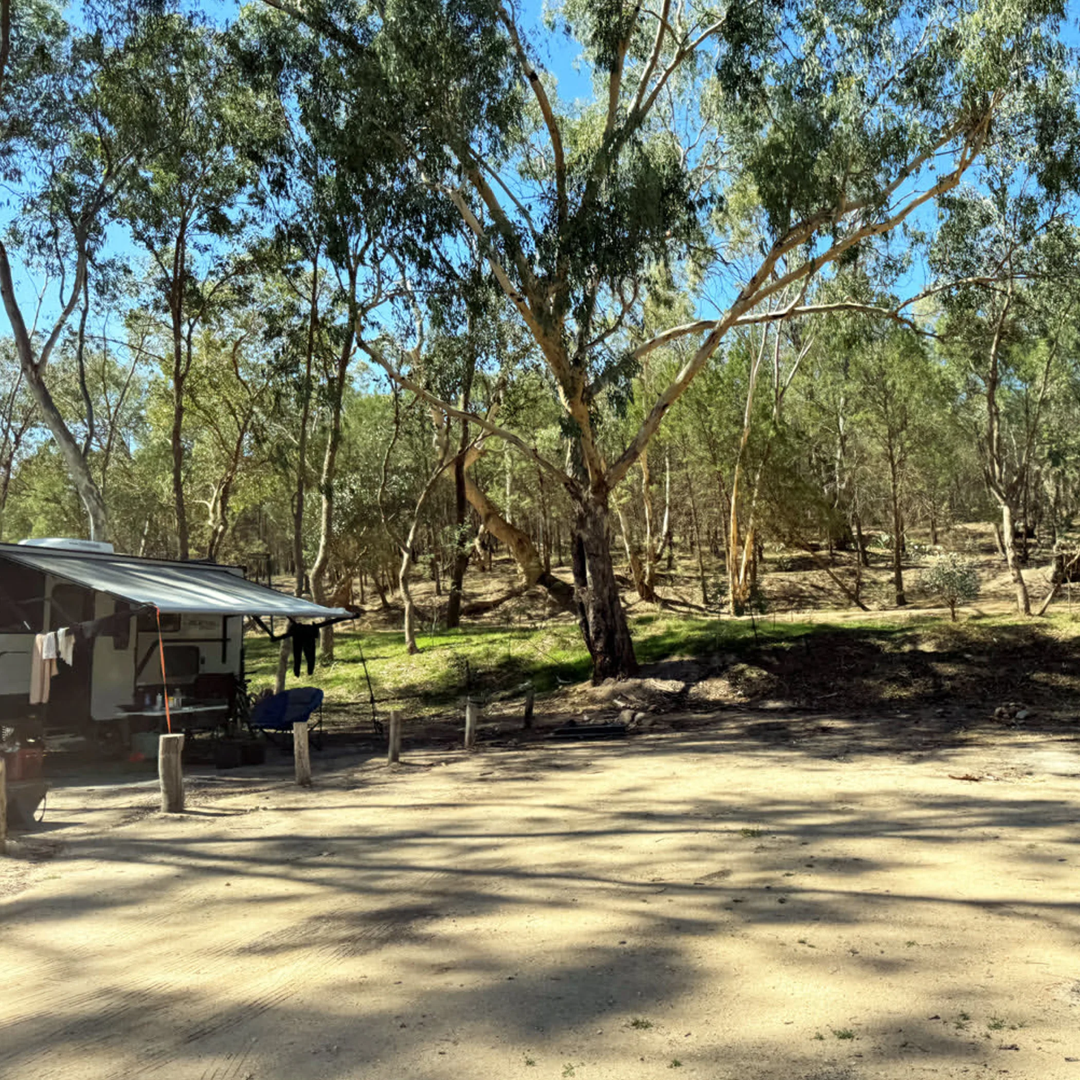 camping in victorian bushland