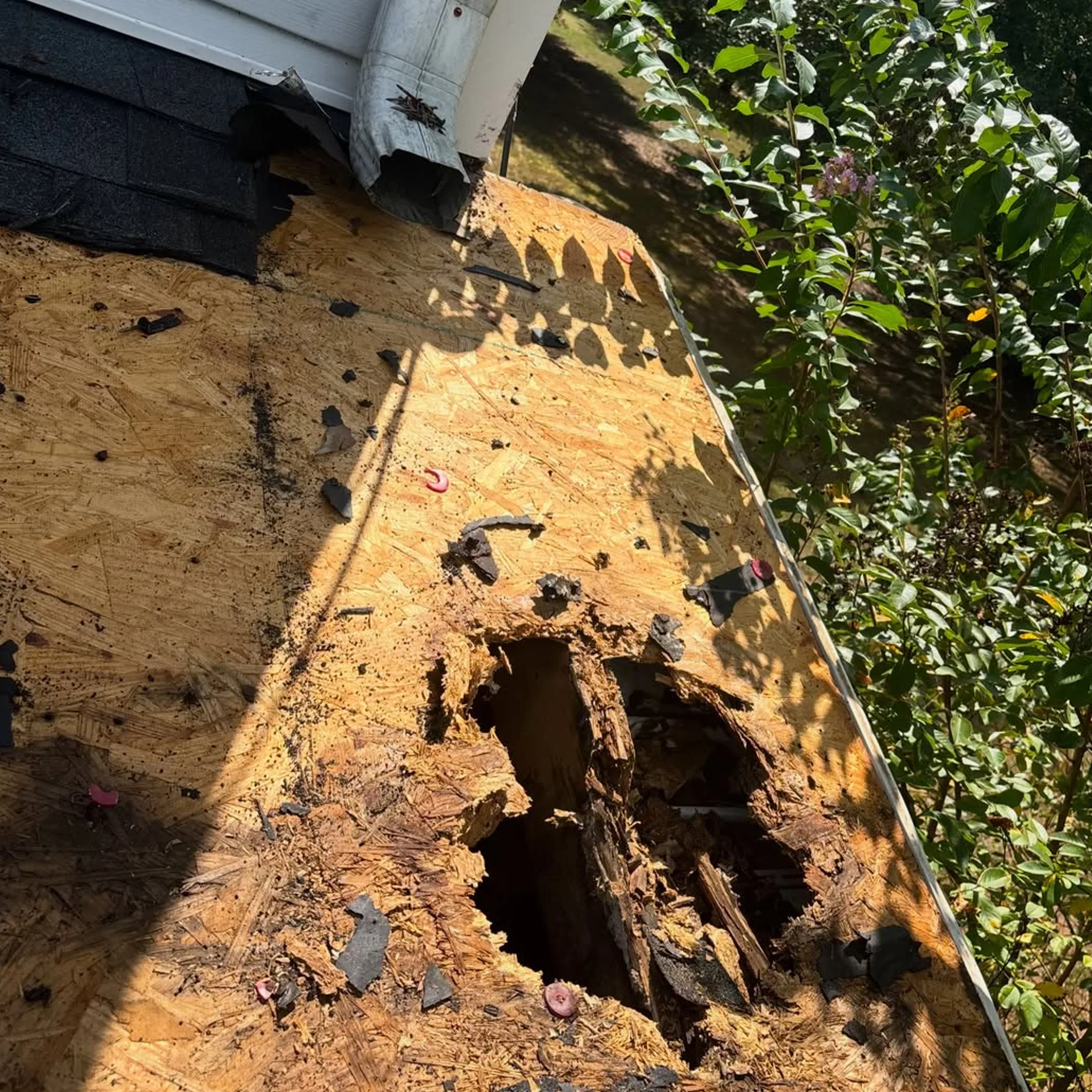 roof repair and sealants