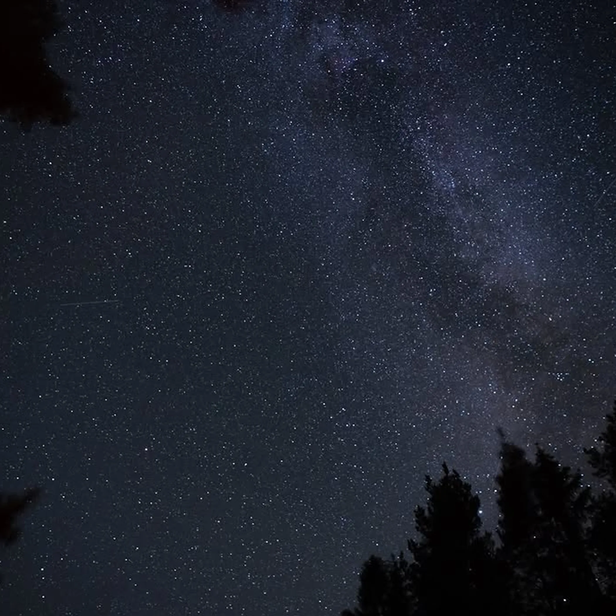 stargazing in a wilderness setting